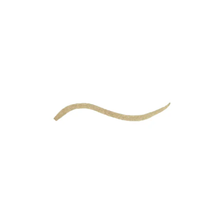 Cezanne Drawing Double Eyelid Liquid Eyeliner Brown / Greige - Image 2