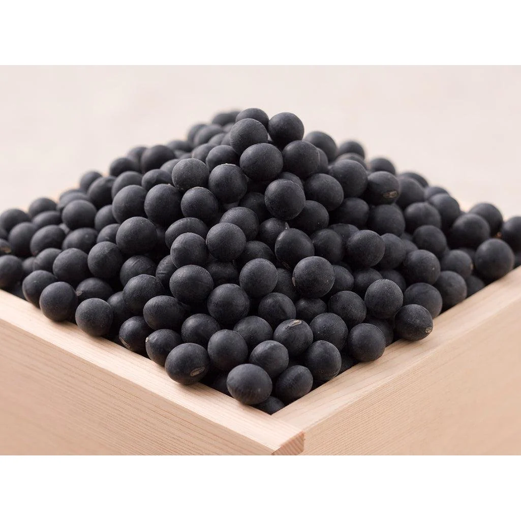 Daihoku Hokkaido Kuromame Japanese Black Soybeans 180g - Image 2