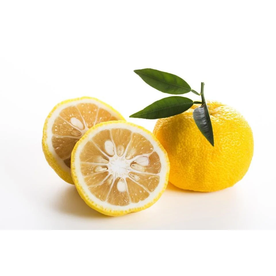 Daitoku 100% Natural Yuzu Ponzu Sauce Citrus Umami Seasoning 500ml - Image 4