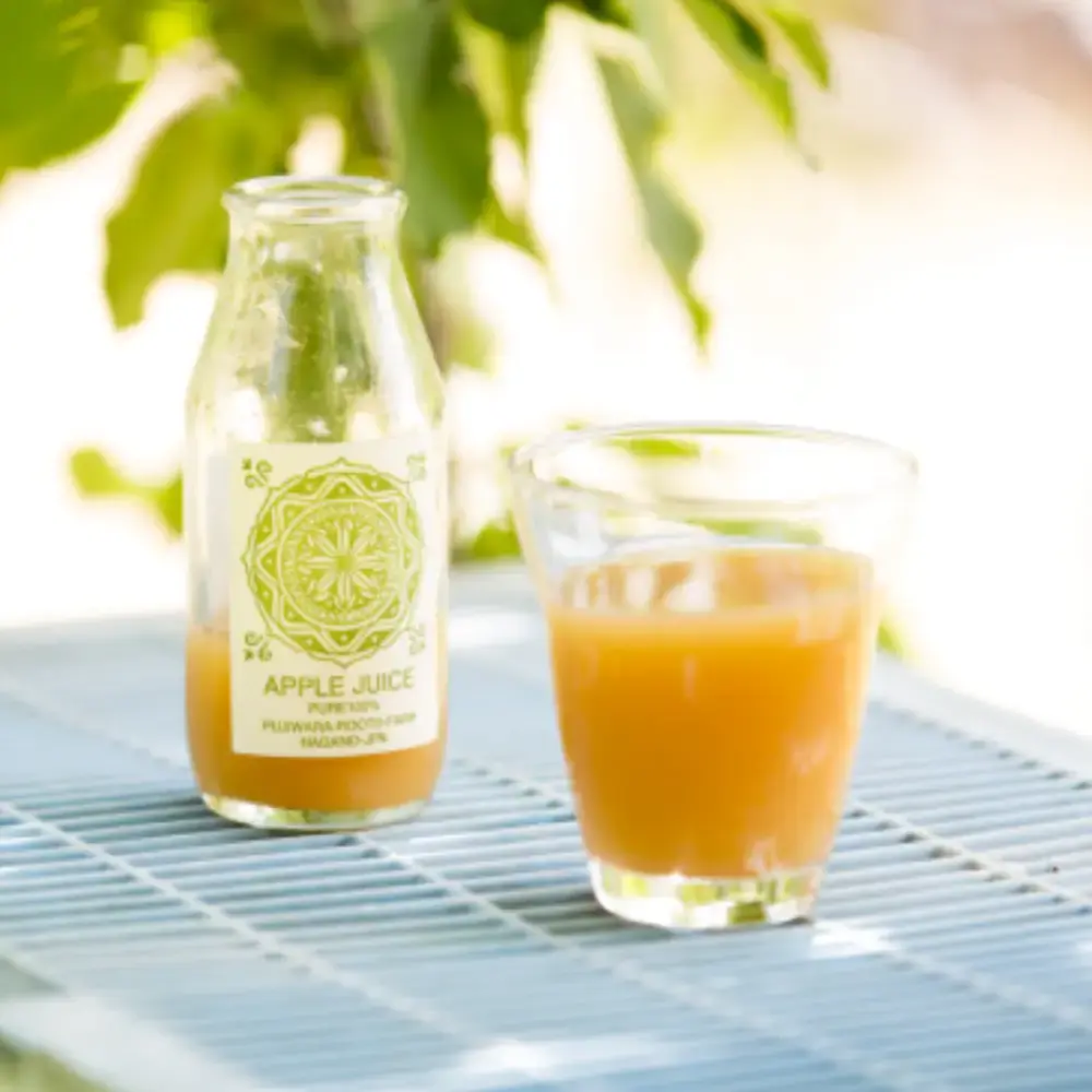 Fujiwara Roots Farm Pure Natural Nagano Apple Juice 180ml - Image 3