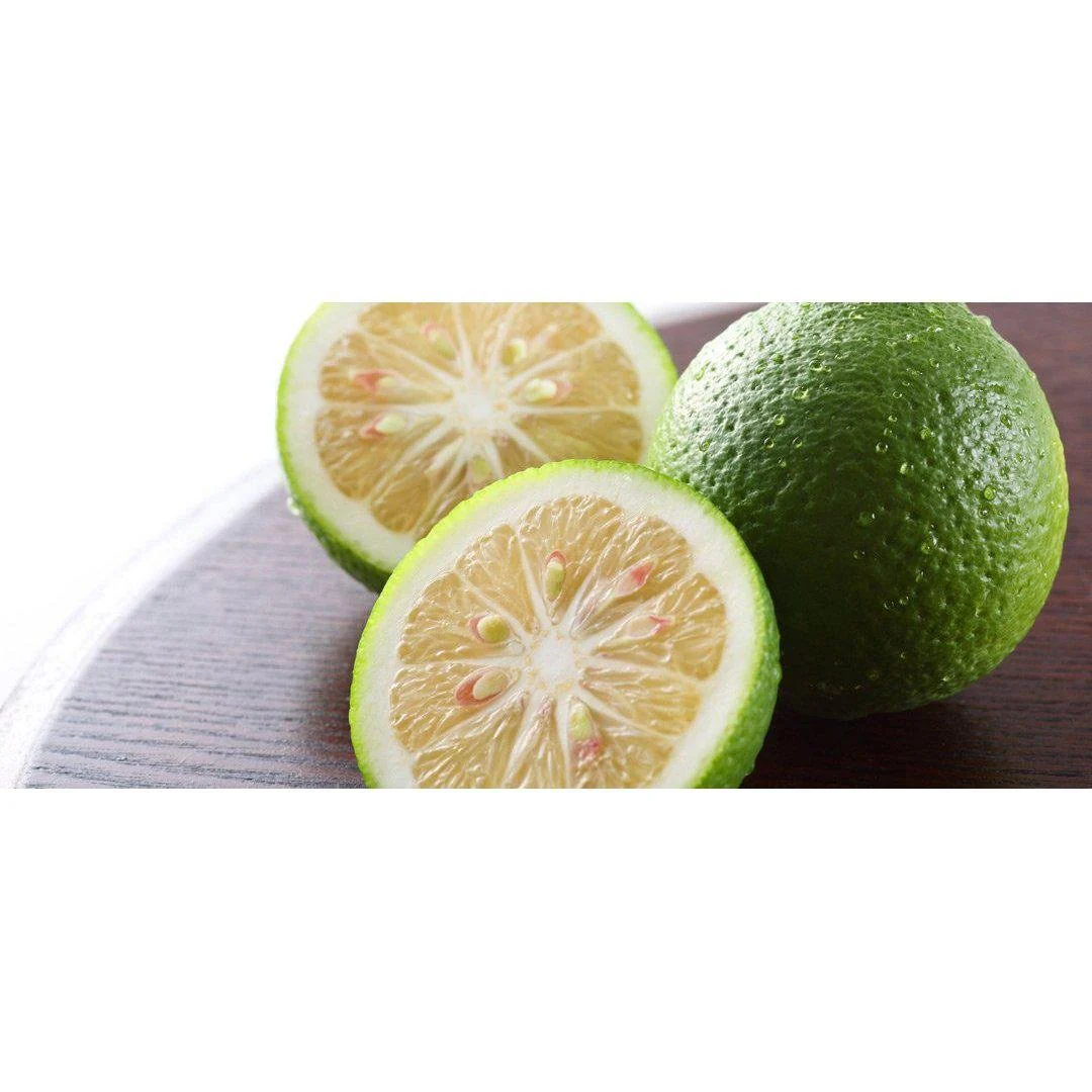Fundokin Green Yuzu Kosho Sauce Spicy Citrus Seasoning Paste 50g - Image 4