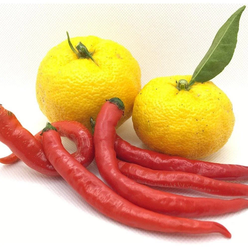 Fundokin Red Yuzu Kosho Sauce Spicy Citrus Seasoning Paste 50g - Image 2