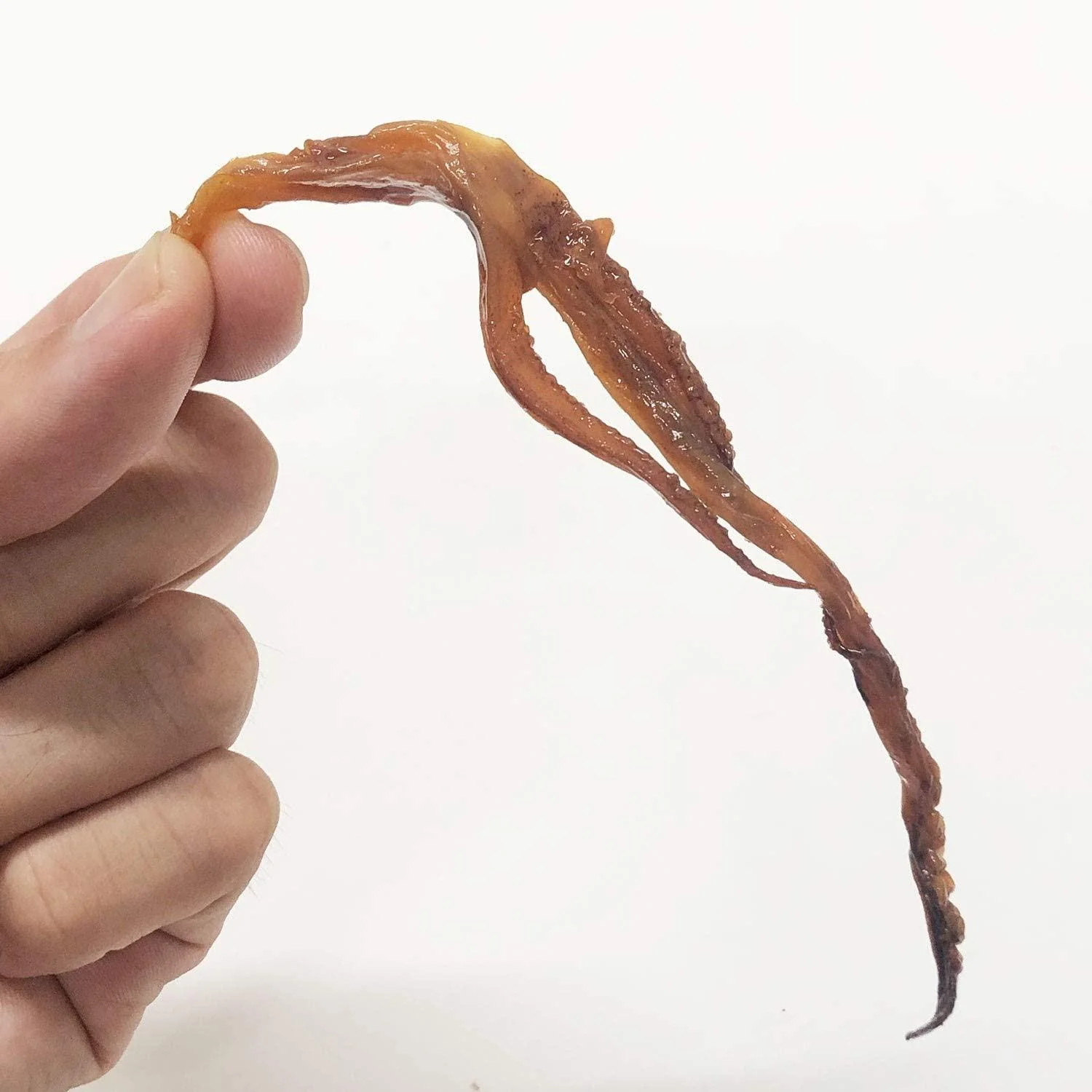 Genkotsu Japanese Seasoned Dried Squid Snack 60 pcs. - Image 4