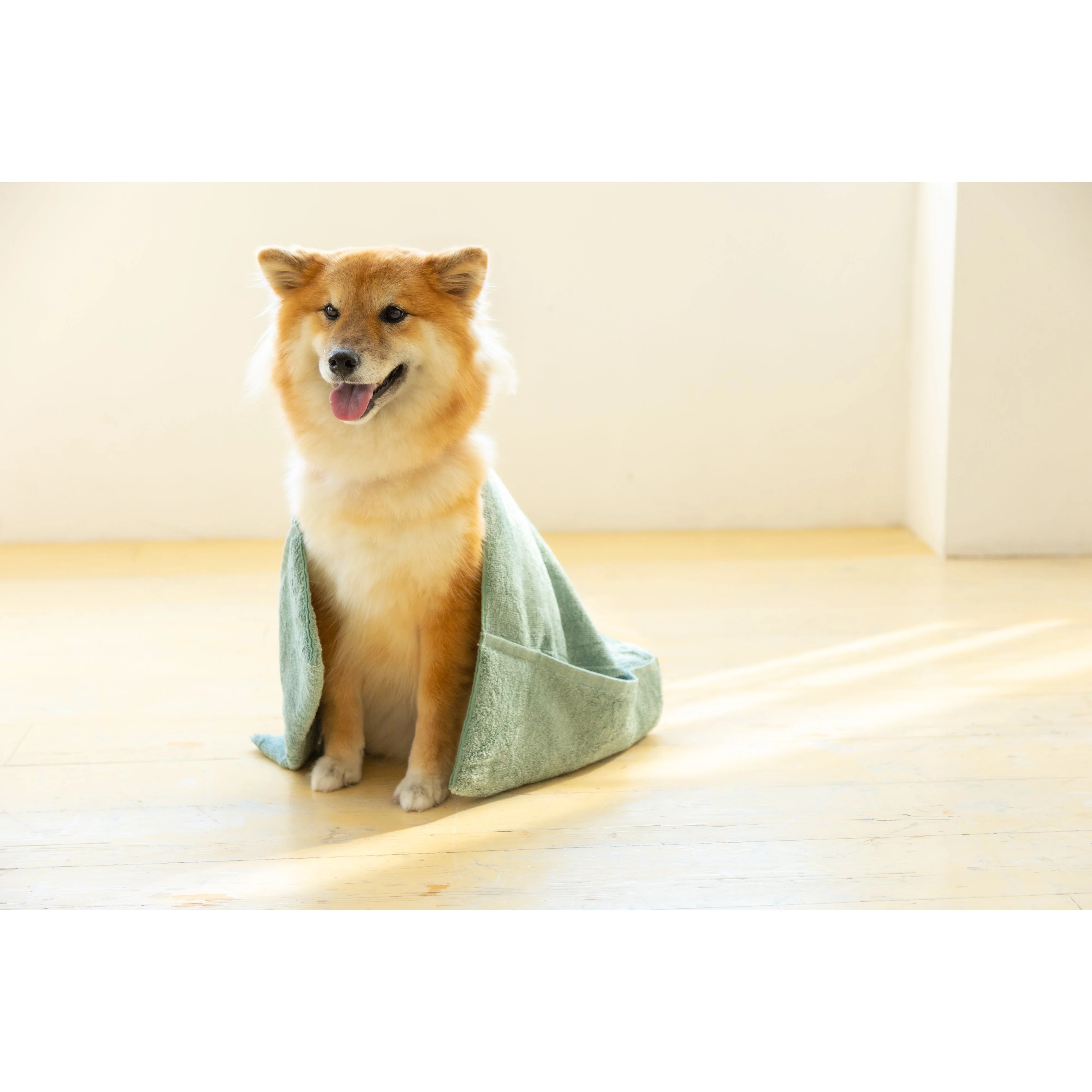 Jogan Pet Towel Super Absorbant Bath Towel for Pets Green 34×78cm - Image 10