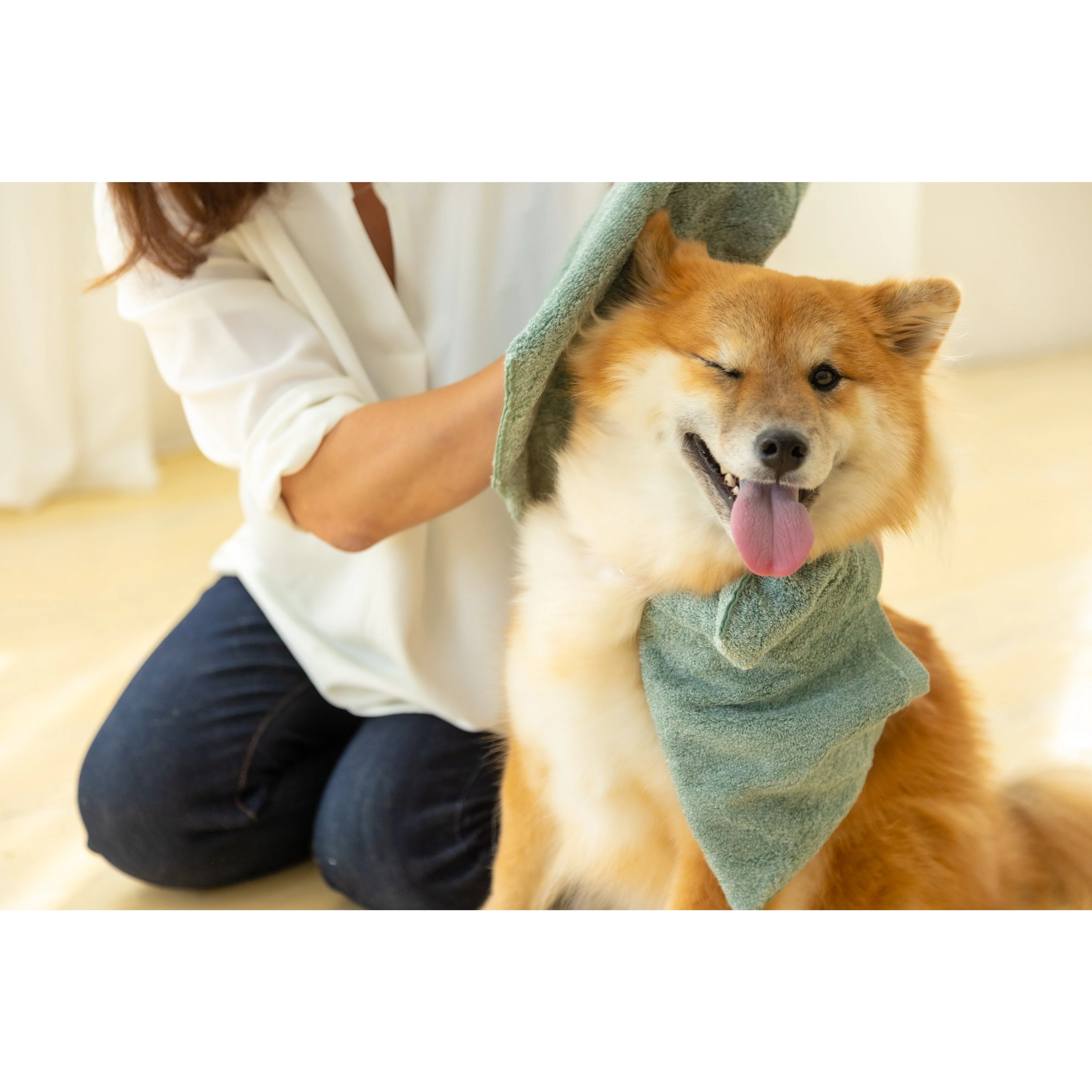 Jogan Pet Towel Super Absorbant Bath Towel for Pets Green 34×78cm - Image 6