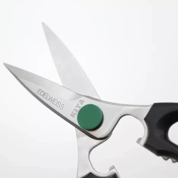 Kiya Edelweiss Steel Japanese Kitchen Scissors BLY09 - Image 2