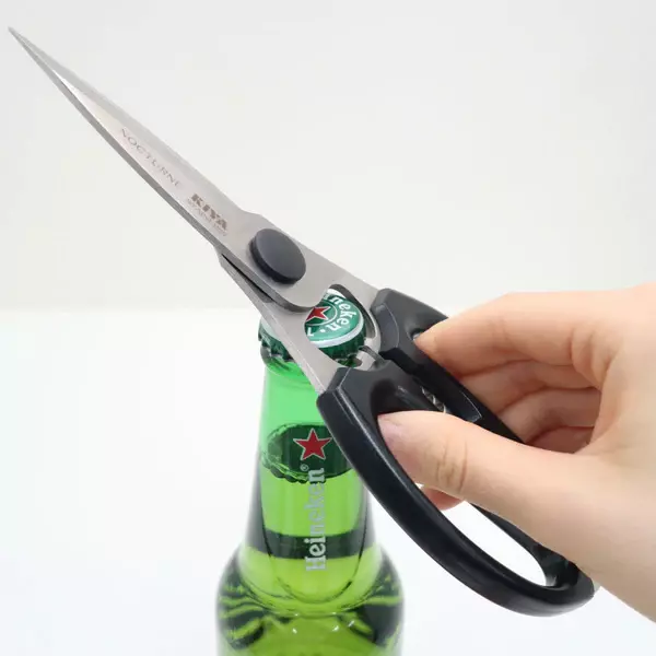 Kiya Edelweiss Steel Japanese Kitchen Scissors BLY09 - Image 3