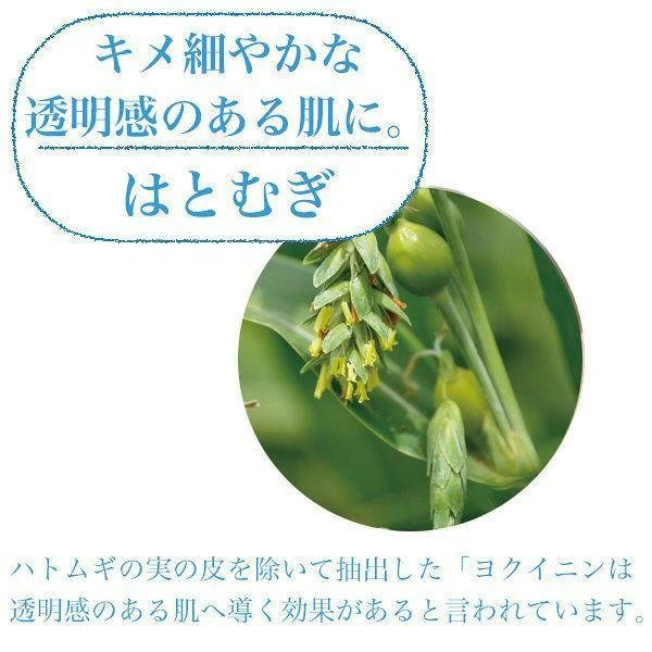 Kosé Bihada Syokunin Brightening Hatomugi Job Tear's Mask 7 Sheets - Image 2