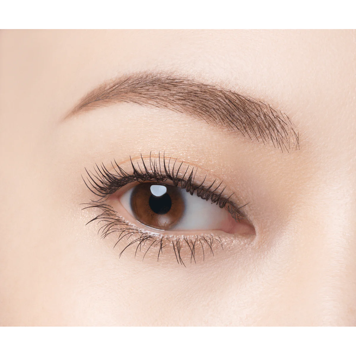 Kosé Fasio Long Lasting Curl & Waterproof Mascara Black - Image 5