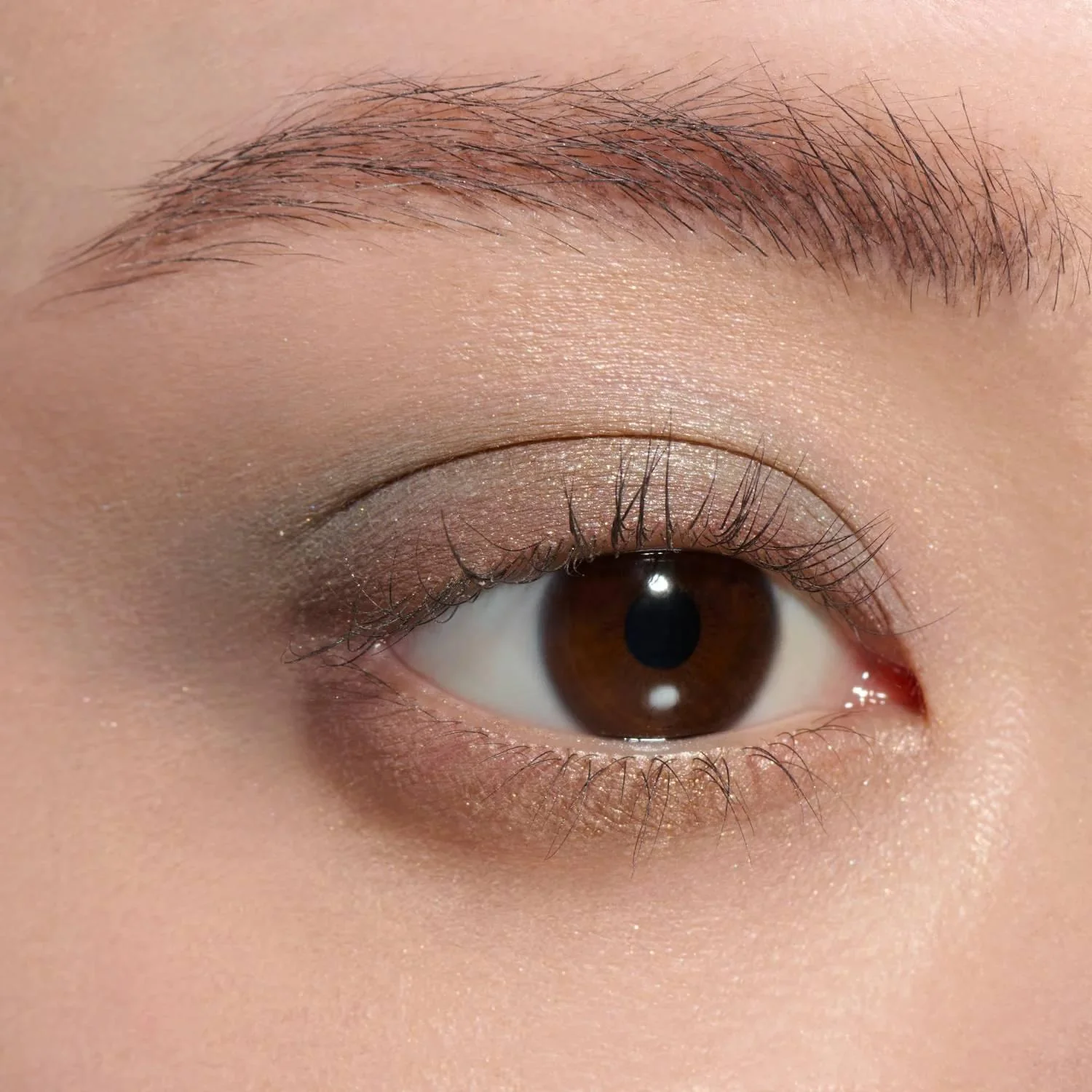Lunasol Eye Coloration N Eyeshadow Quad - Image 12