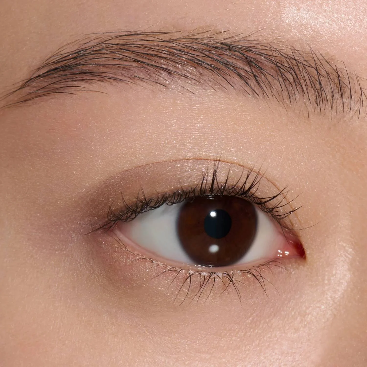 Lunasol Mono Eye Coloration Smooth Finish Eyeshadow - Image 4