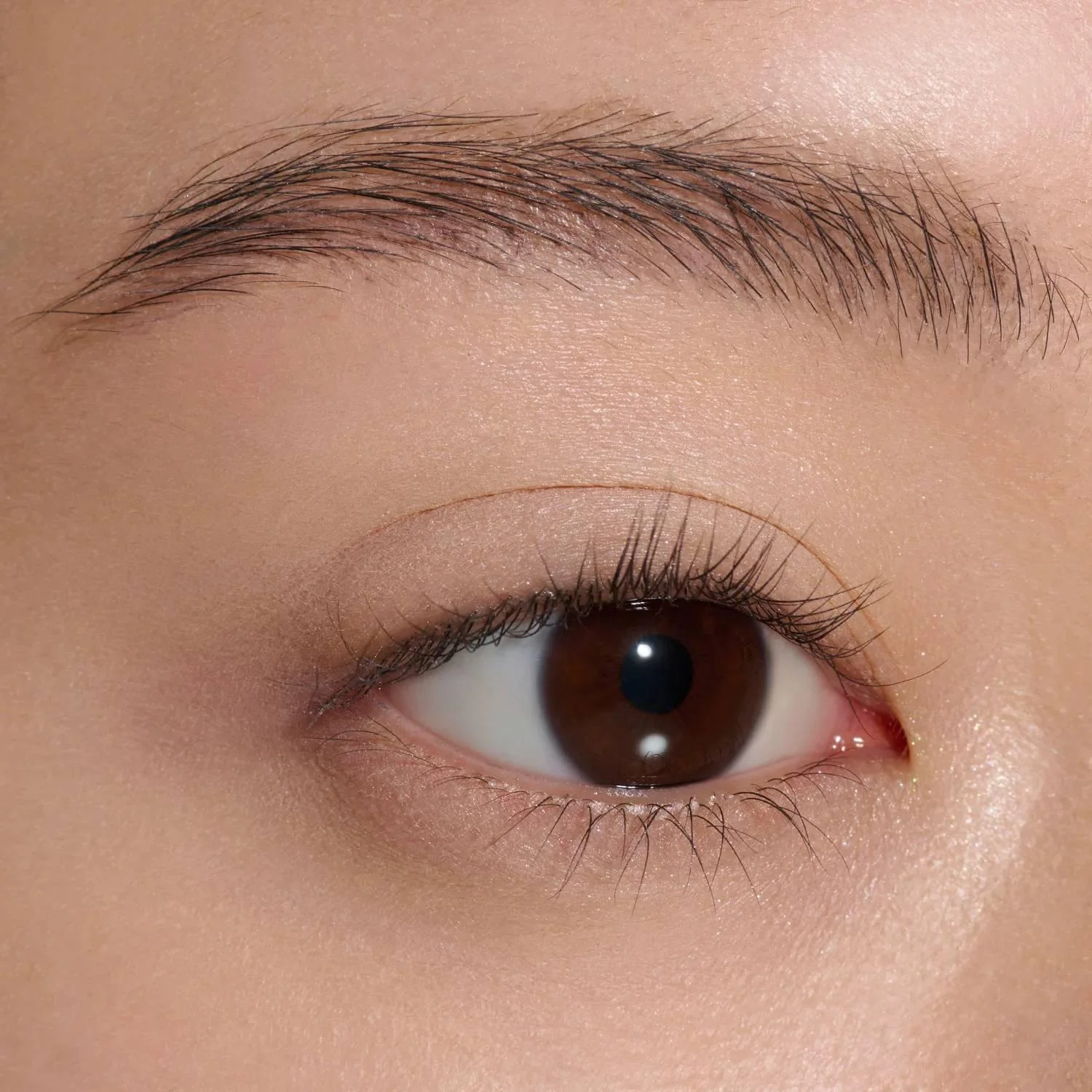 Lunasol Mono Eye Coloration Smooth Finish Eyeshadow - Image 7