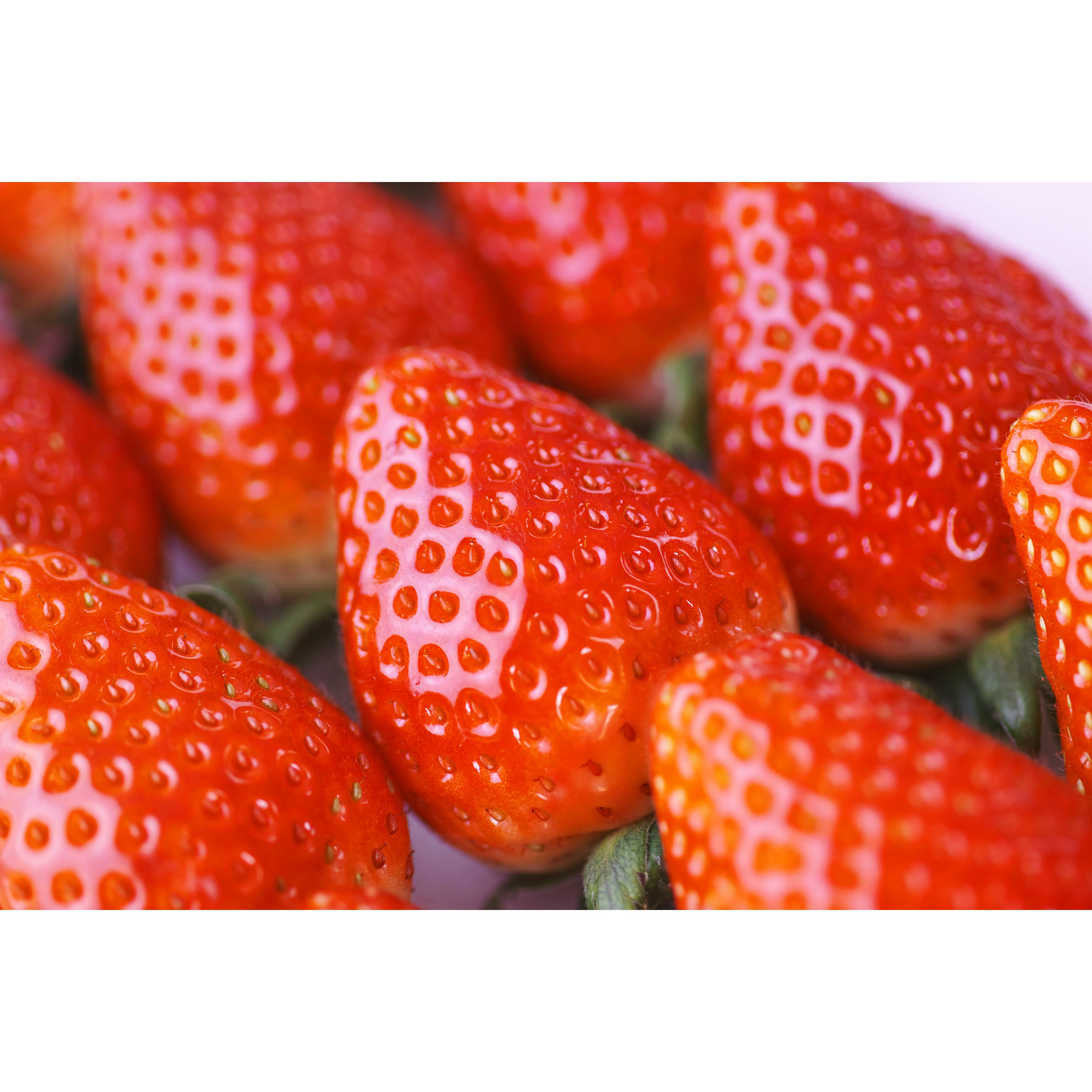 Marushige Migaki Strawberry Premium Drinking Vinegar 500ml - Image 7