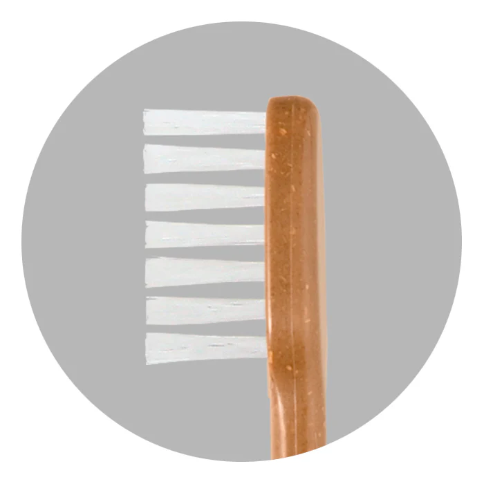 Meguru Eco Friendly Vegan Bamboo Toothbrush Regular Bristle - Image 3