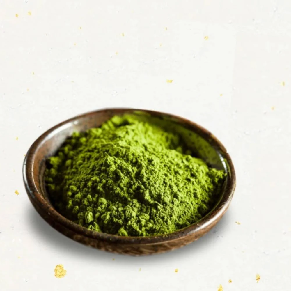 Morihan Matcha Pudding Mix Professional Use 500g - Image 6
