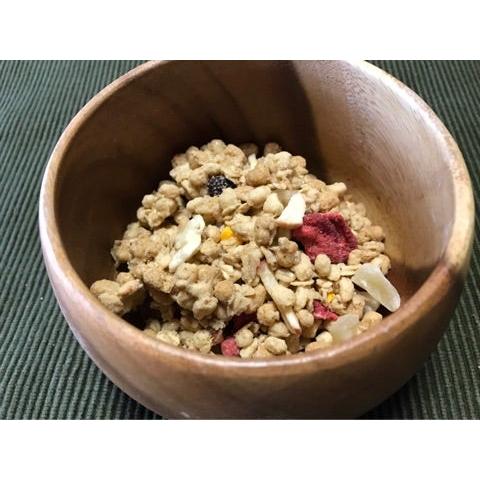 Nissin Gorogura Mixed Fruits Granola Cereal Maple Flavor 280g - Image 2