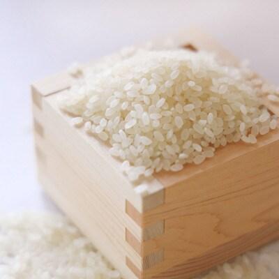 Organic Koshihikari Hakumai Rice Japanese White Rice 2kg - Image 2