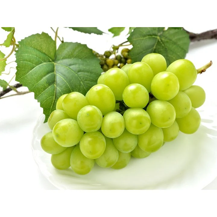 Orihiro Drinkable Konjac Jelly Drink White Muscat Grape Flavor 130g - Image 3