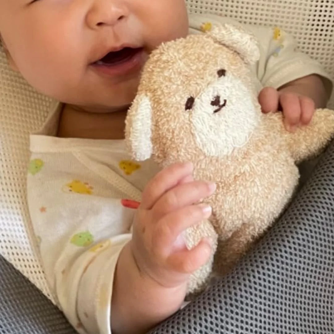 Orim Imabari Soft Organic Cotton Teddy Bear 21cm - Image 2