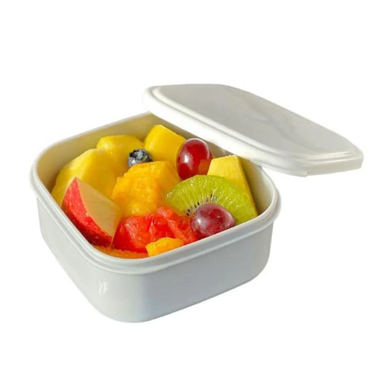 OSK Side Dish Dessert Box Microwaveable Food Storage Container 360ml - Image 2