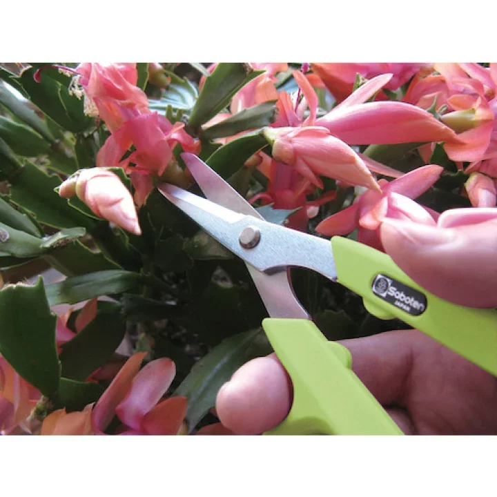 Saboten Floral & Garden Scissors Chrome-Plated Blades With Sharpener - Image 2