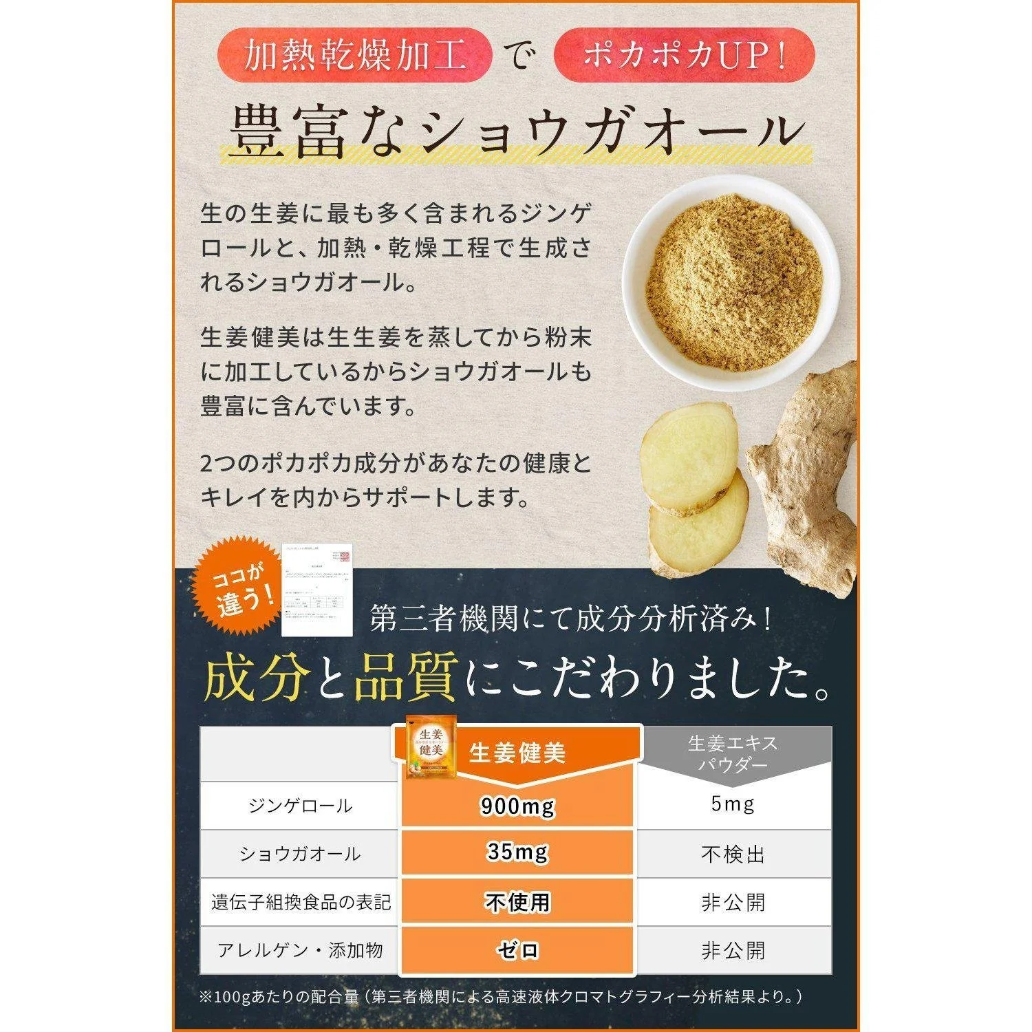 Shoga Kenbi Japanese Ground Ginger Powder 100g - Image 5