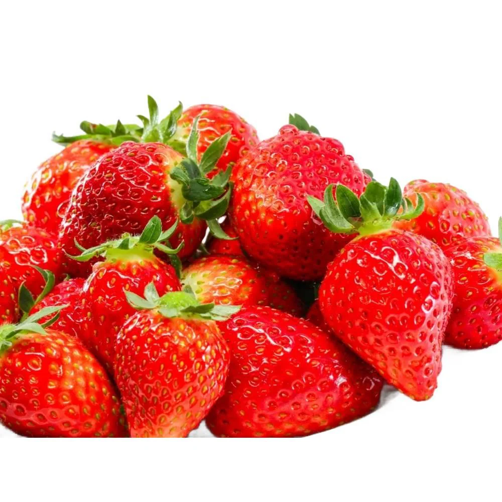 Strawberry Fruit Syrup Additive-Free Kakigori Shaved Ice Syrup 260g - Image 3