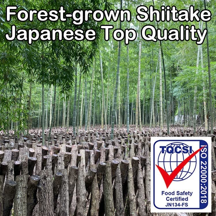 Sugimoto All-Purpose Organic Japanese Shiitake Mushroom Powder 40g - Image 3