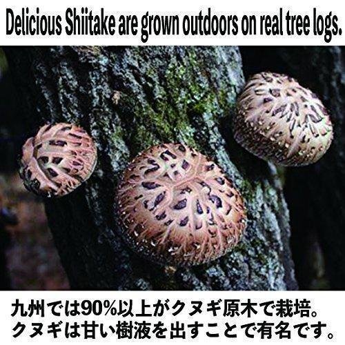 Sugimoto Dried Organic Japanese Shiitake Mushrooms 70g - Image 4