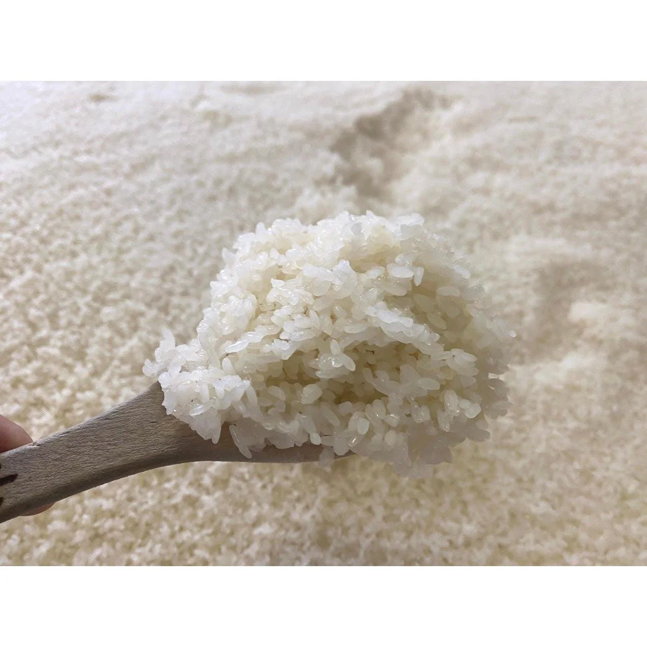 Sugiura Hon Mirin 1 Year Aged Traditional Sweet Rice Seasoning 500ml - Image 5
