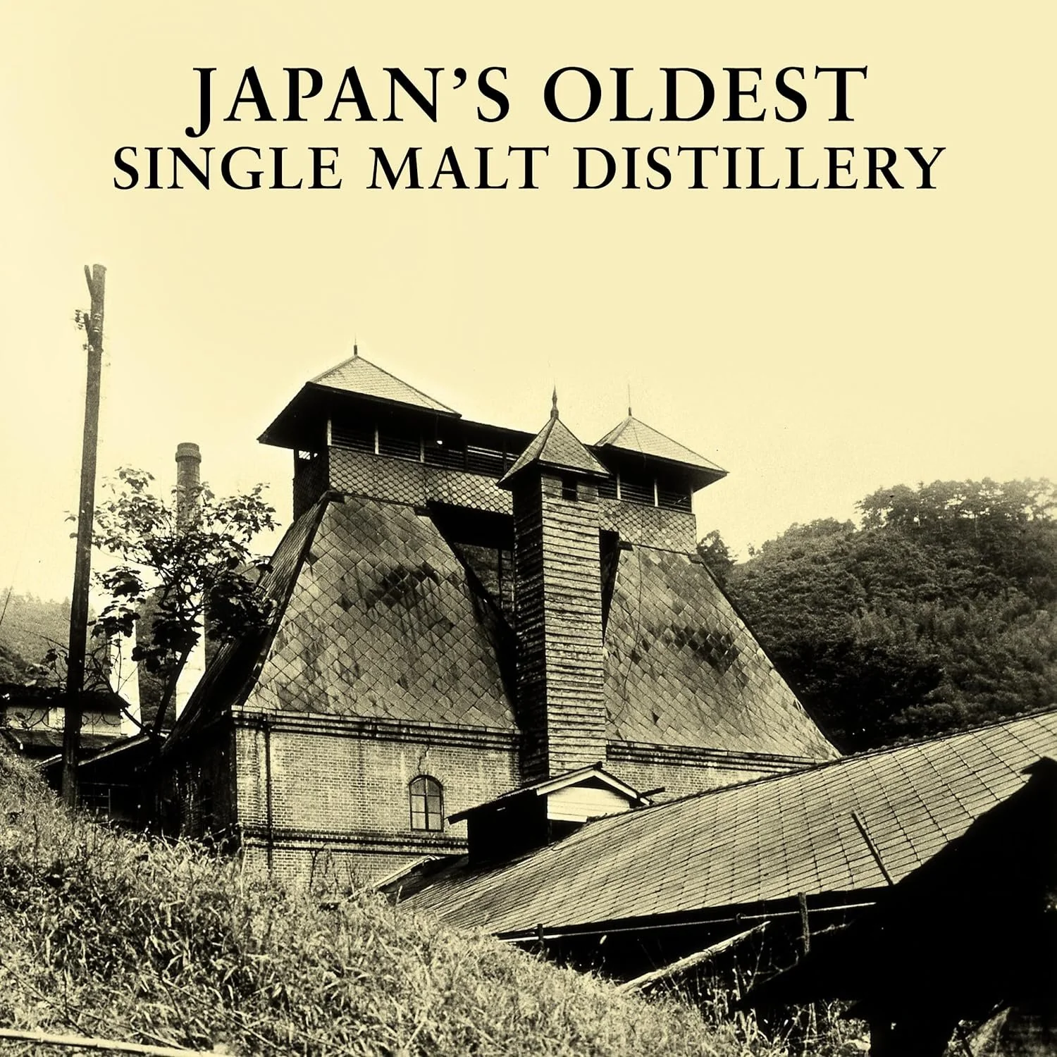 Suntory Yamazaki 12 Years Old Single Malt Whiskey 700ml - Image 6