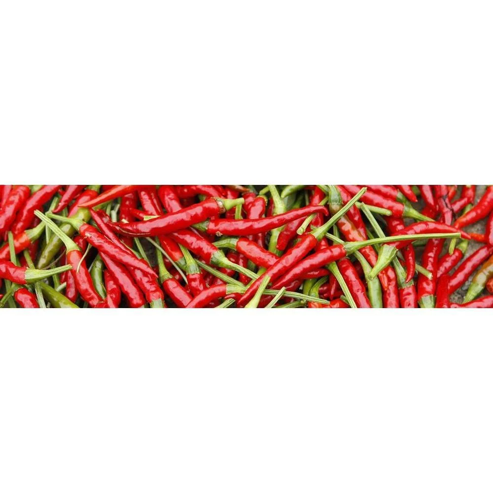 Yawataya Isogoro Shichimi Togarashi Seasoning Can 14g - Image 3