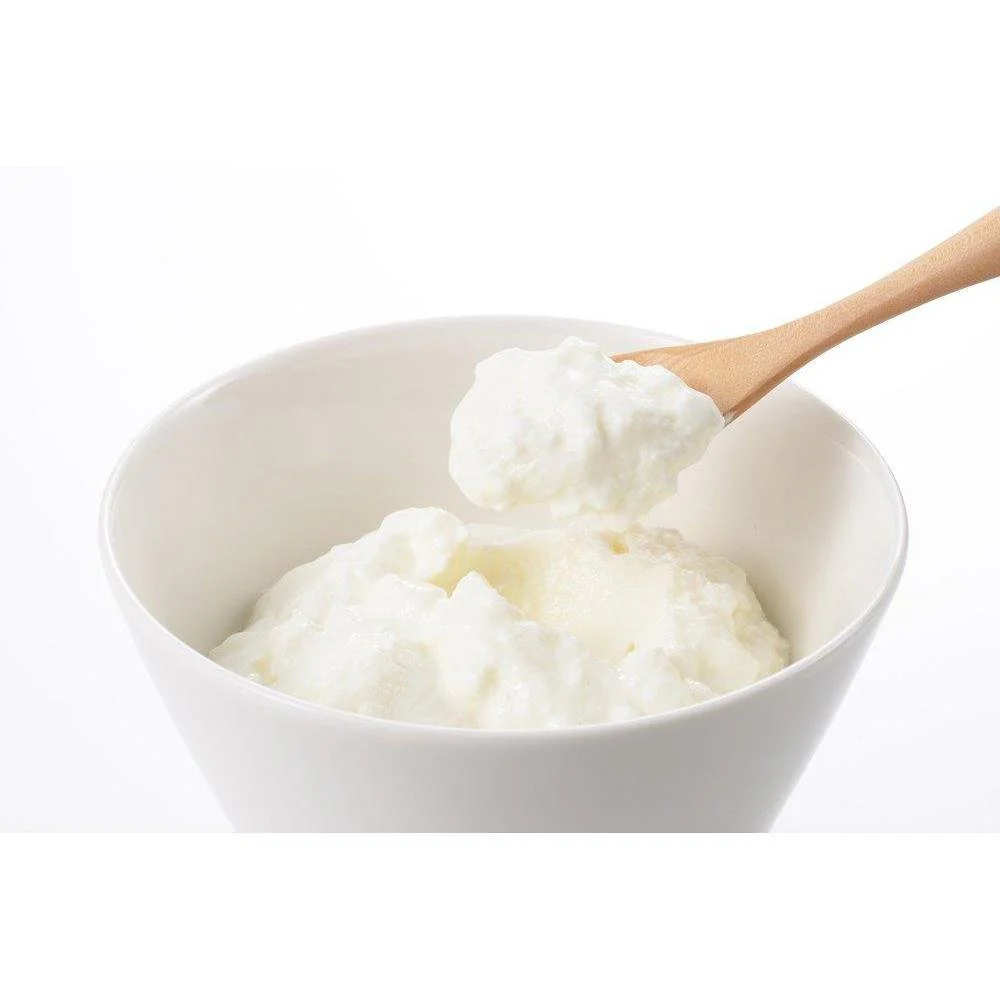 Yoshikawa Greek Yogurt Maker Container SJ1884 - Image 4