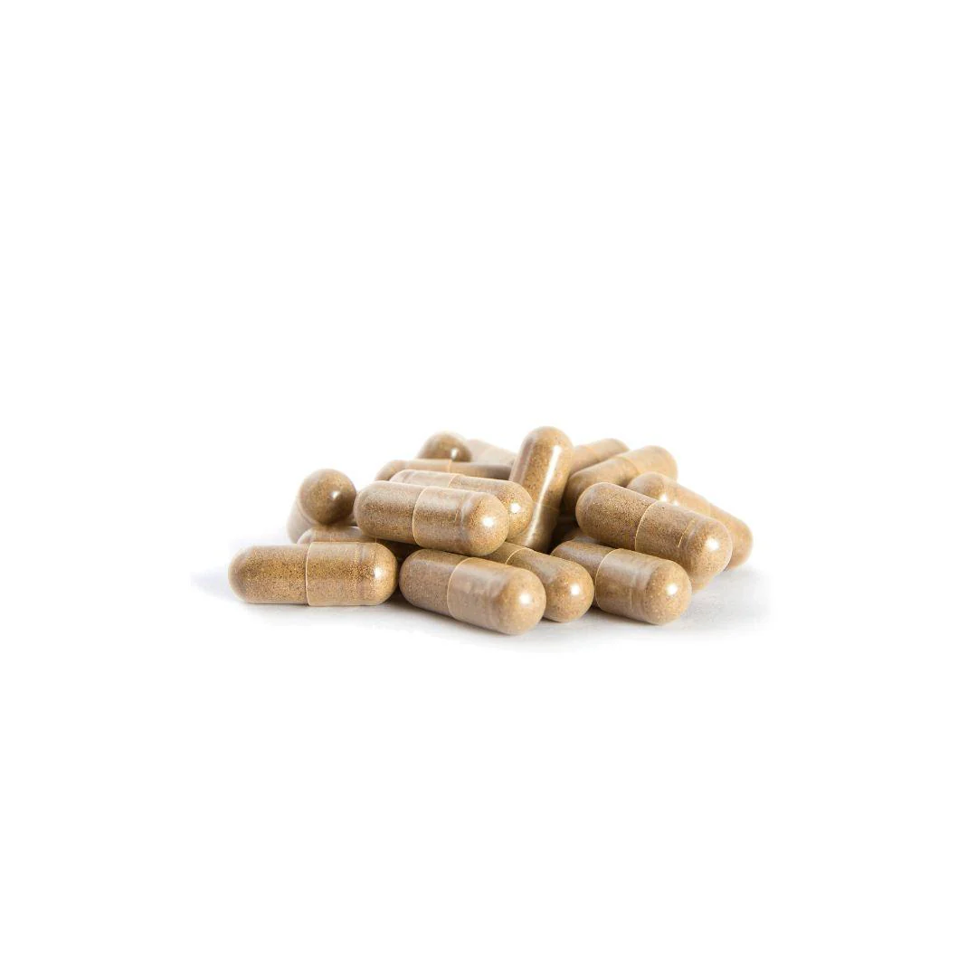 Yuwa Super Kombucha 1000 Fermented Black Tea Supplement 56 Capsules - Image 2